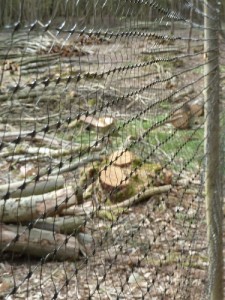 Temporary deer netting