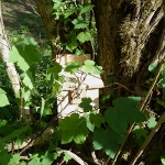 Dormouse Nesting Box No.1