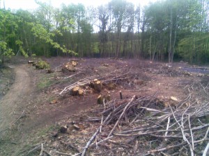Coppice site extracted using and Iron Horse