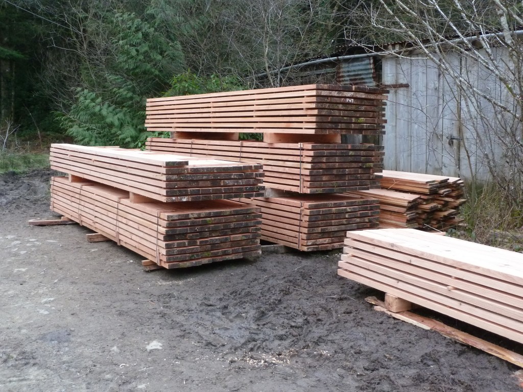sawn Larch timber with mobile sawmill