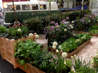 Large Oak planters on show