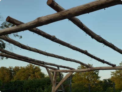 Rustic Peg Framed Pergola