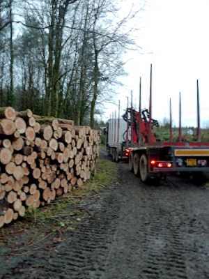 roundwood timber collection